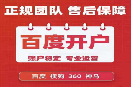 SEM广告投放的精准定位与优化案例